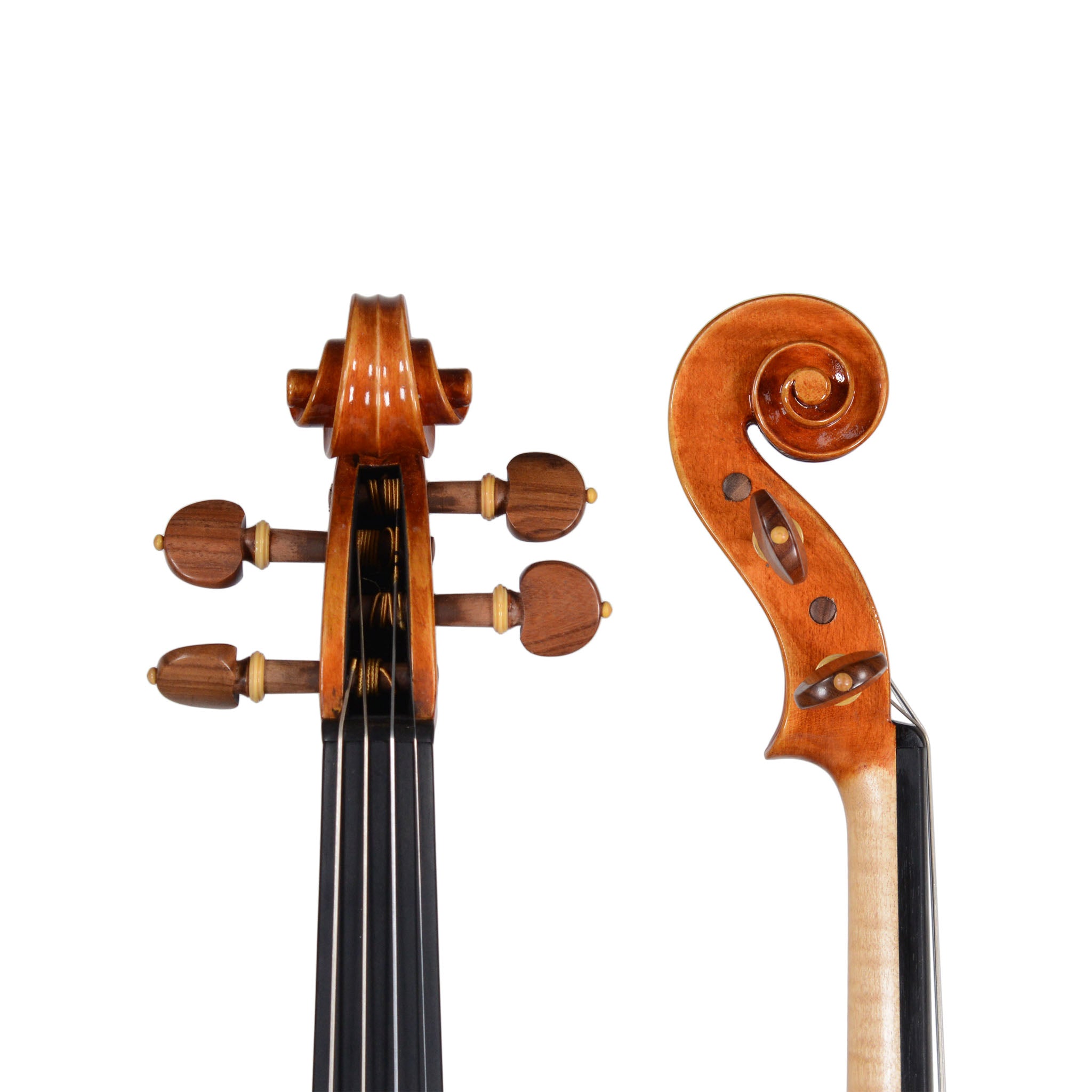 #Select A Violin_FS544