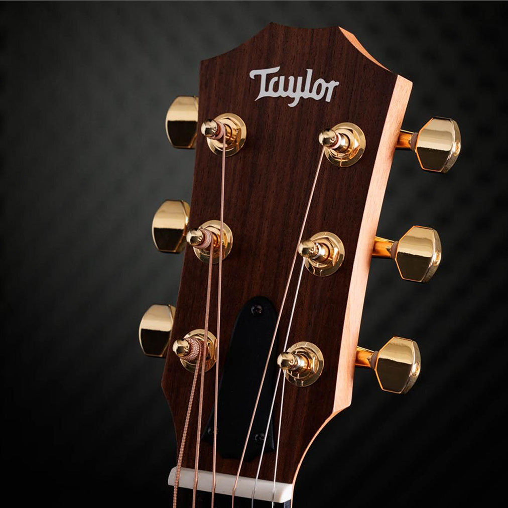 Taylor 50th Anniversary GS Mini-e Rosewood SB LTD Acoustic-Electric Guitar