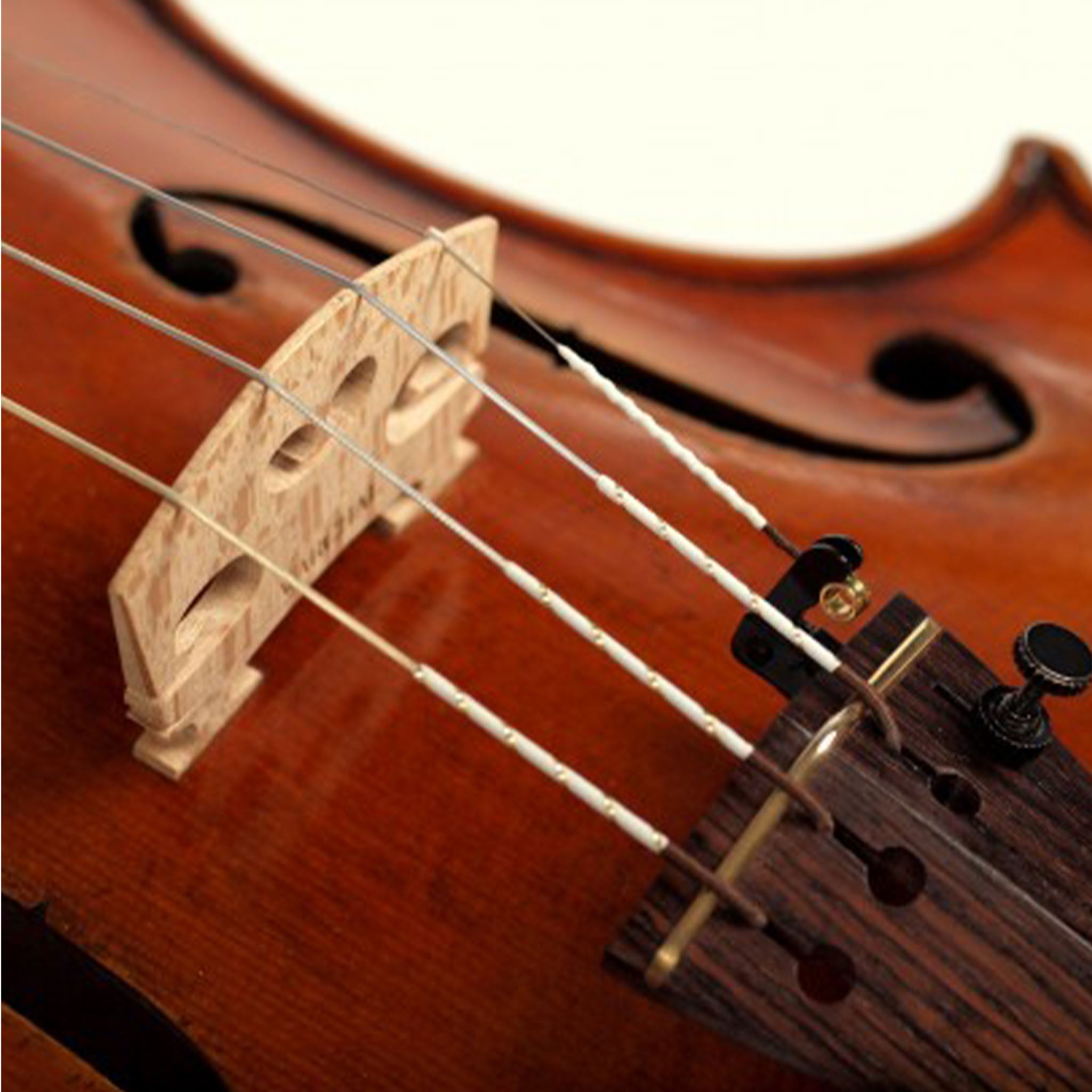 Warchal Amber Violin String Set