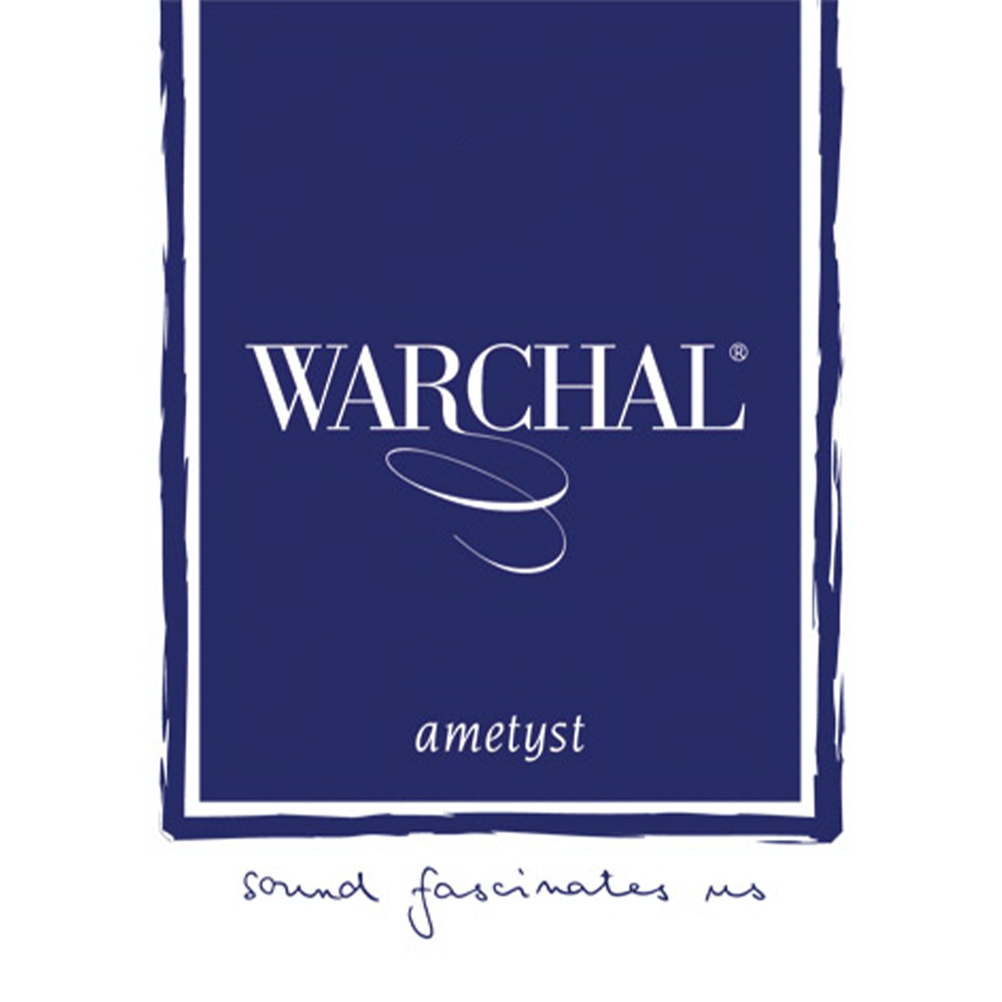 Warchal Ametyst Violin D String