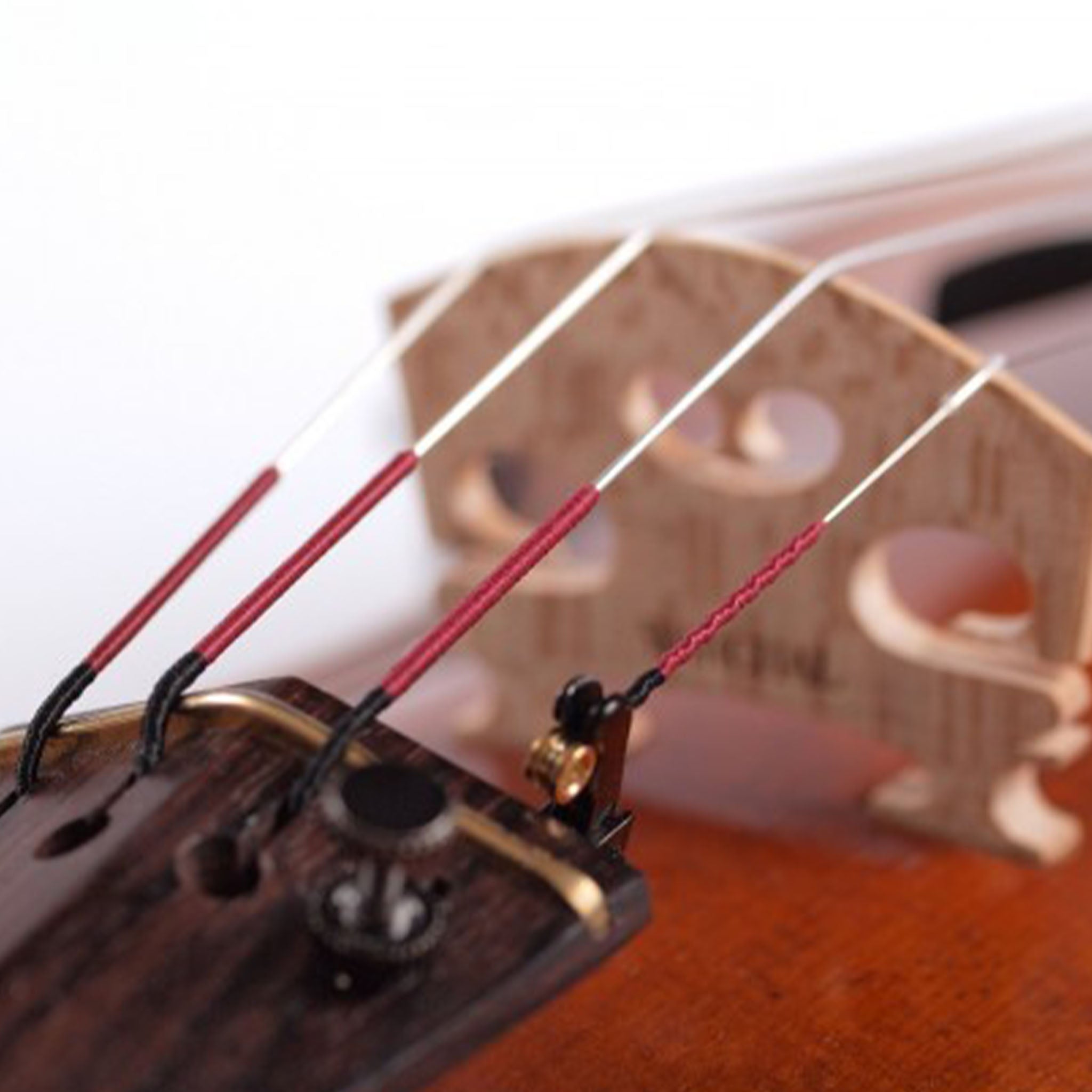Warchal Karneol Violin String Set