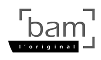 Bam Cases - Quality violin cases made in France.