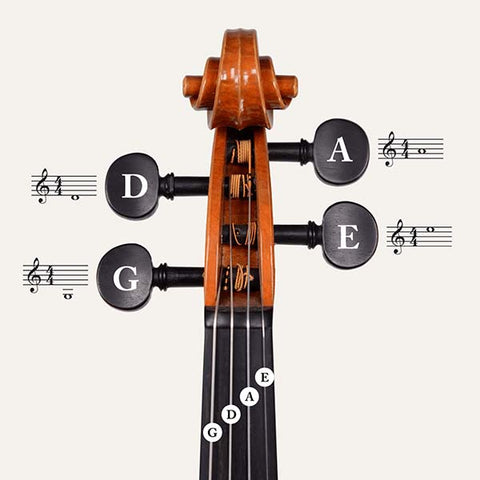 For all your string instrument needs - Violin, Viola, Cellos & Bass