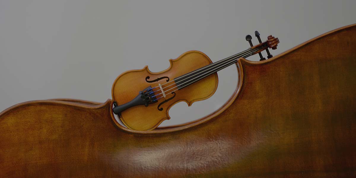 Artistic photo of small violin being on display inside the C bout of student cello