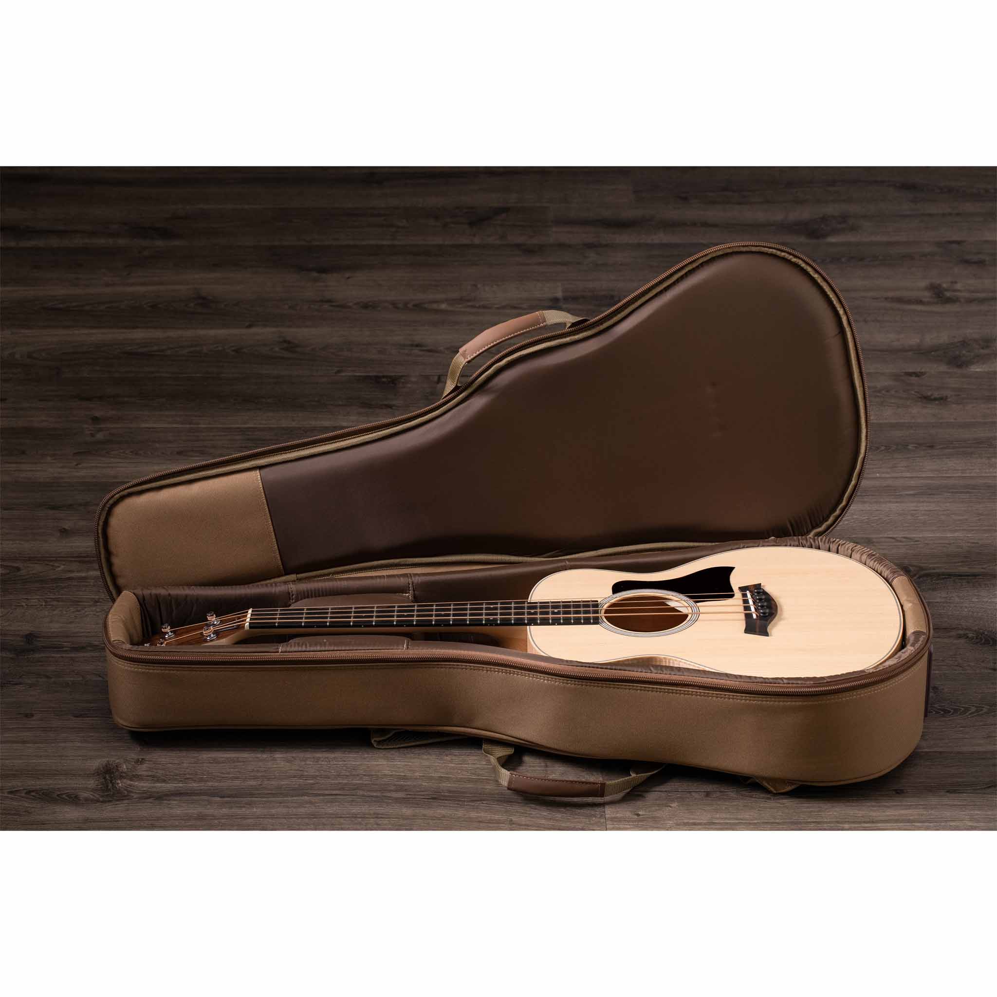 Taylor acoustic store guitar case