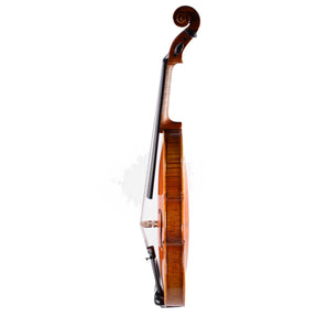 Fiddlershop Sample Full Size Violin No. 88