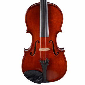 Antique DeLuccia Bros. 1922 Violin