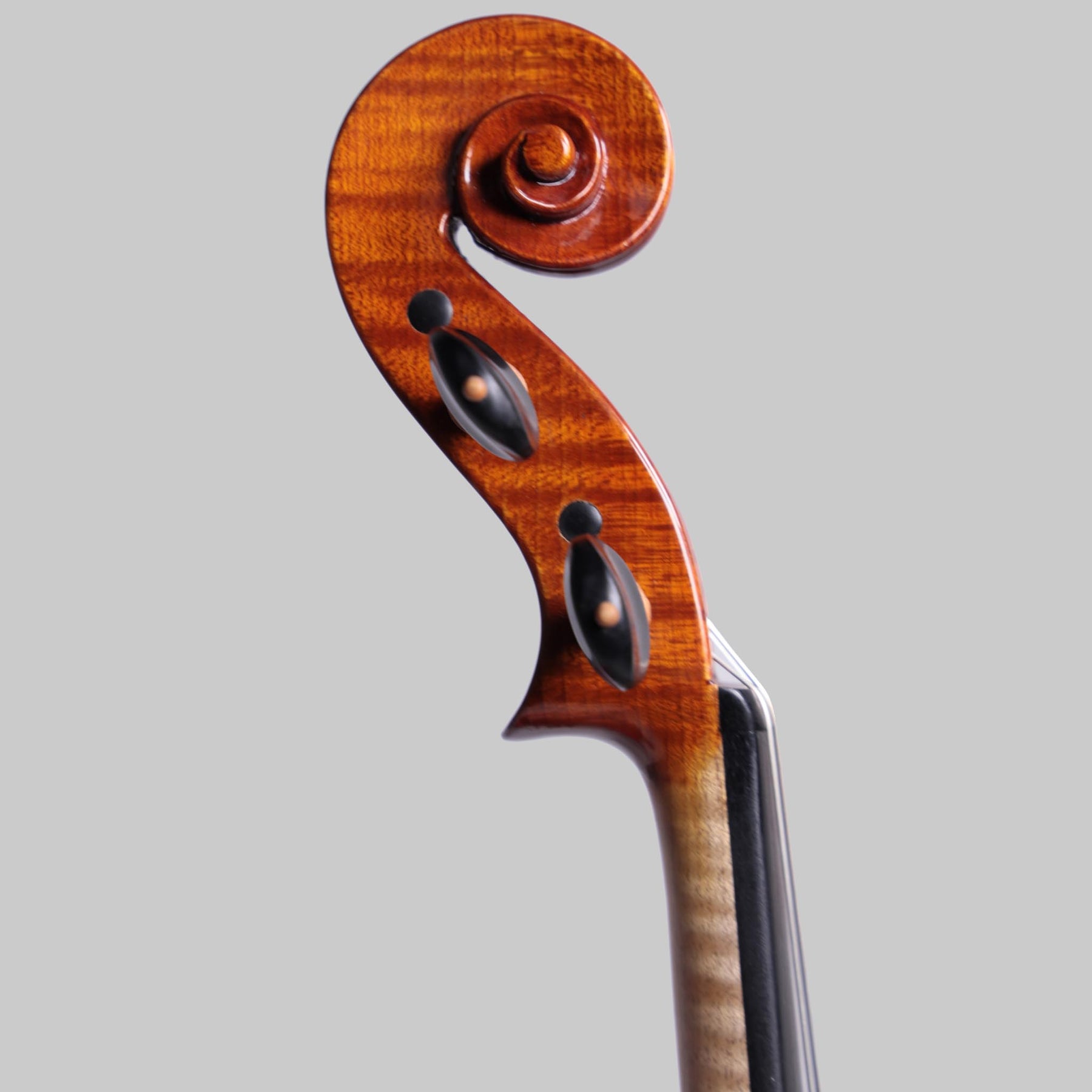 Andrés Martinez Bilva, Violin 2021