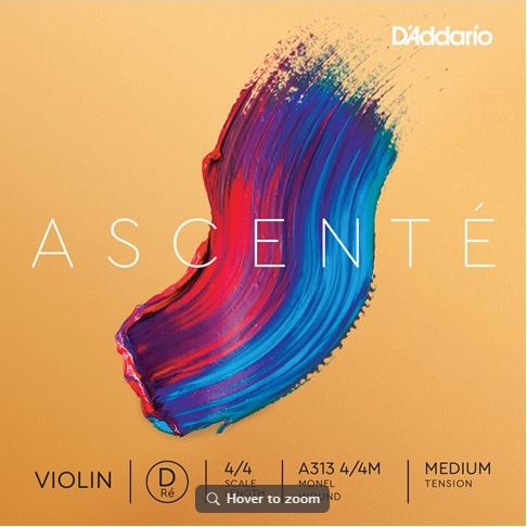 Ascenté Violin String - D