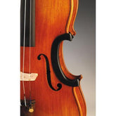 Violin C-Clip Protector