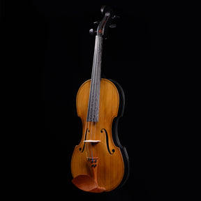 Carbon-Klang Elena Carbon Fiber Hybrid Violin