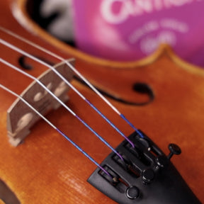 Corelli Cantiga Violin String Set