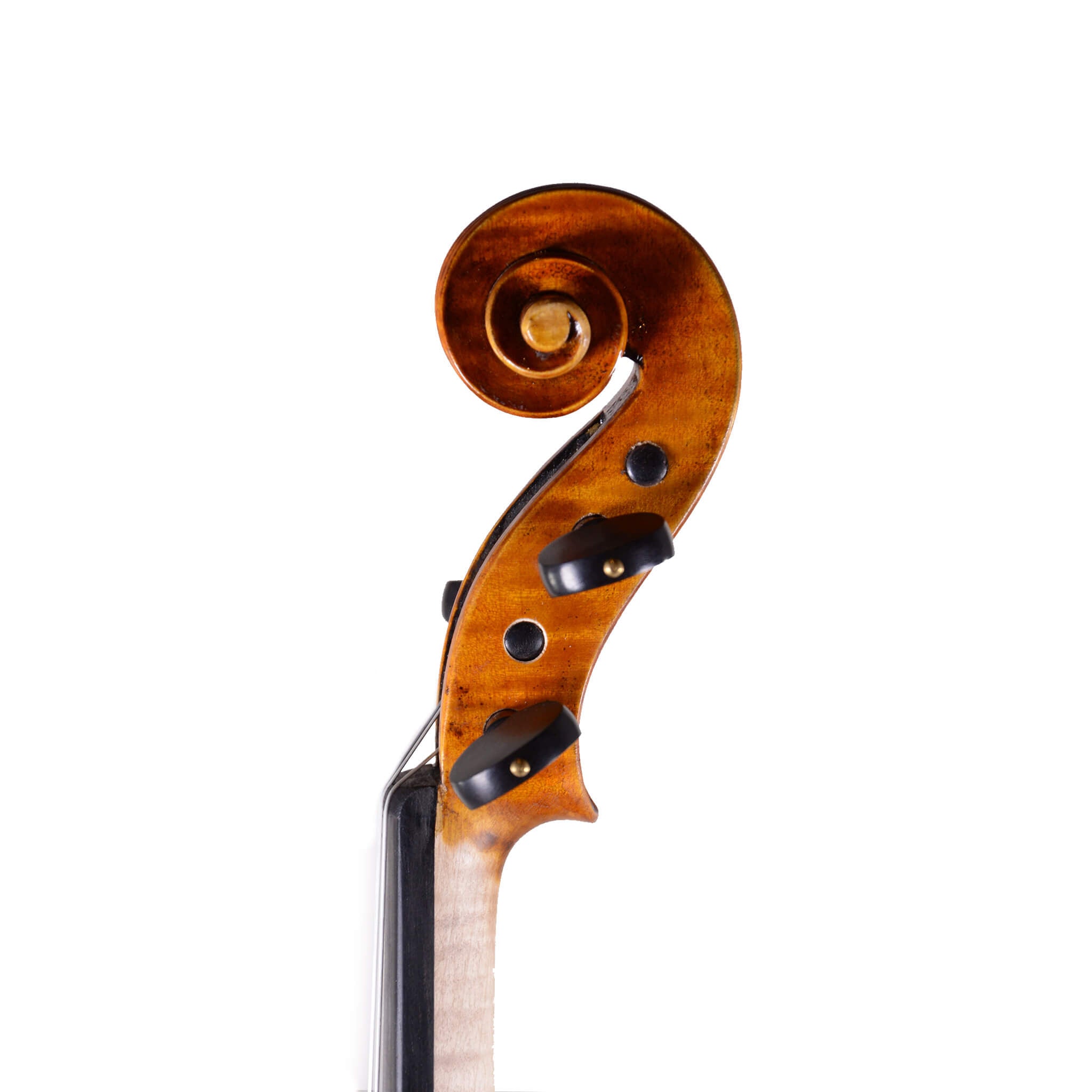 Fiddlerman Left Handed Violin Scroll Right