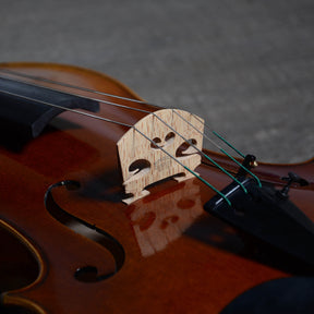 B-Stock Fiddlerman Master Viola Outfit