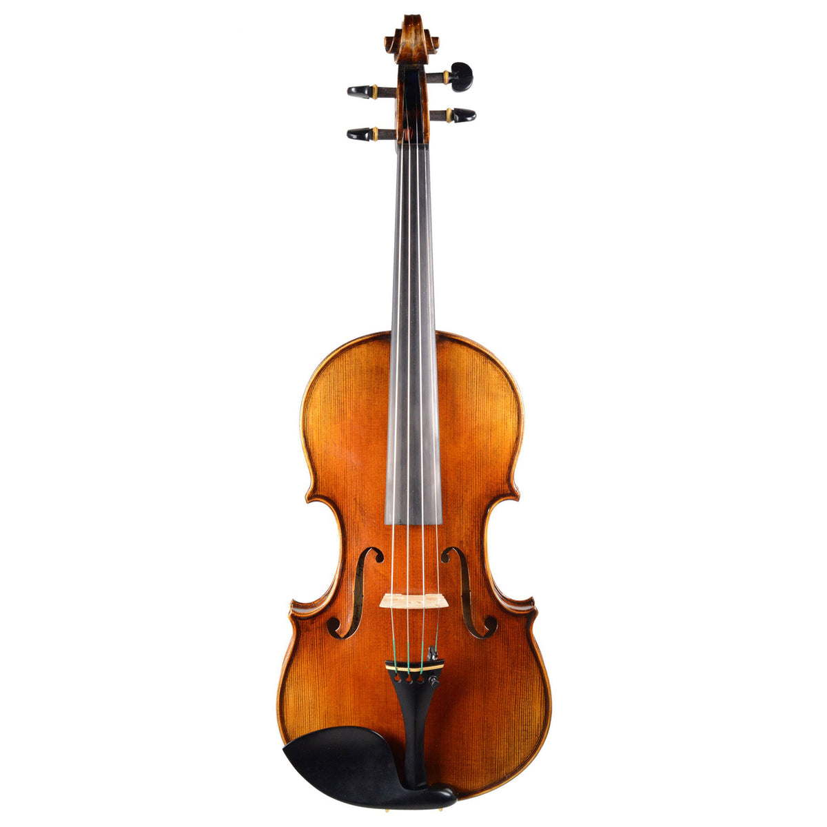 Fiddlerman Master Violin Outfit