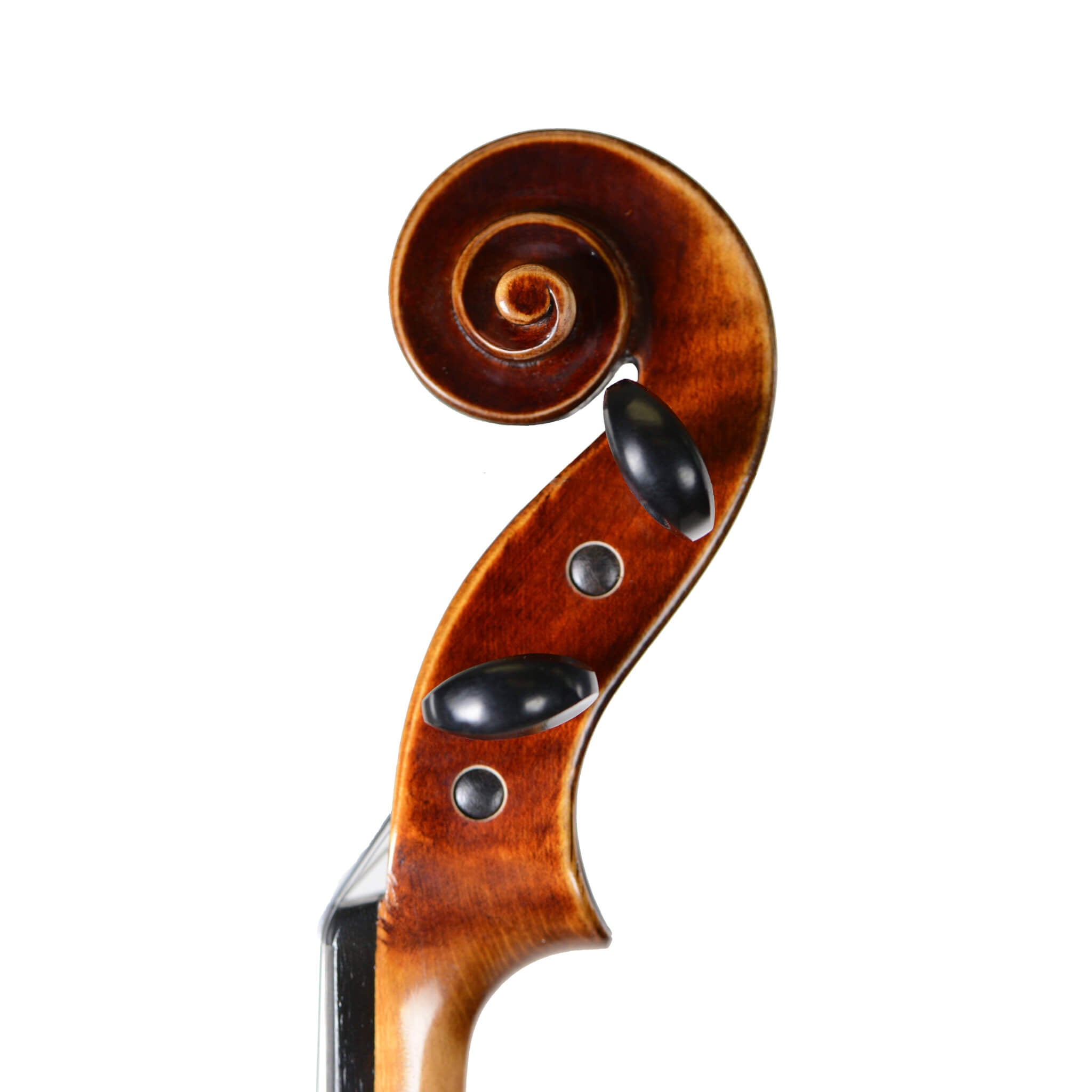 Violin Pegbox