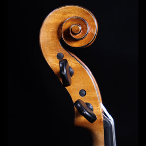 Francesco Pierotti, Cesena Italy, Violin 2020