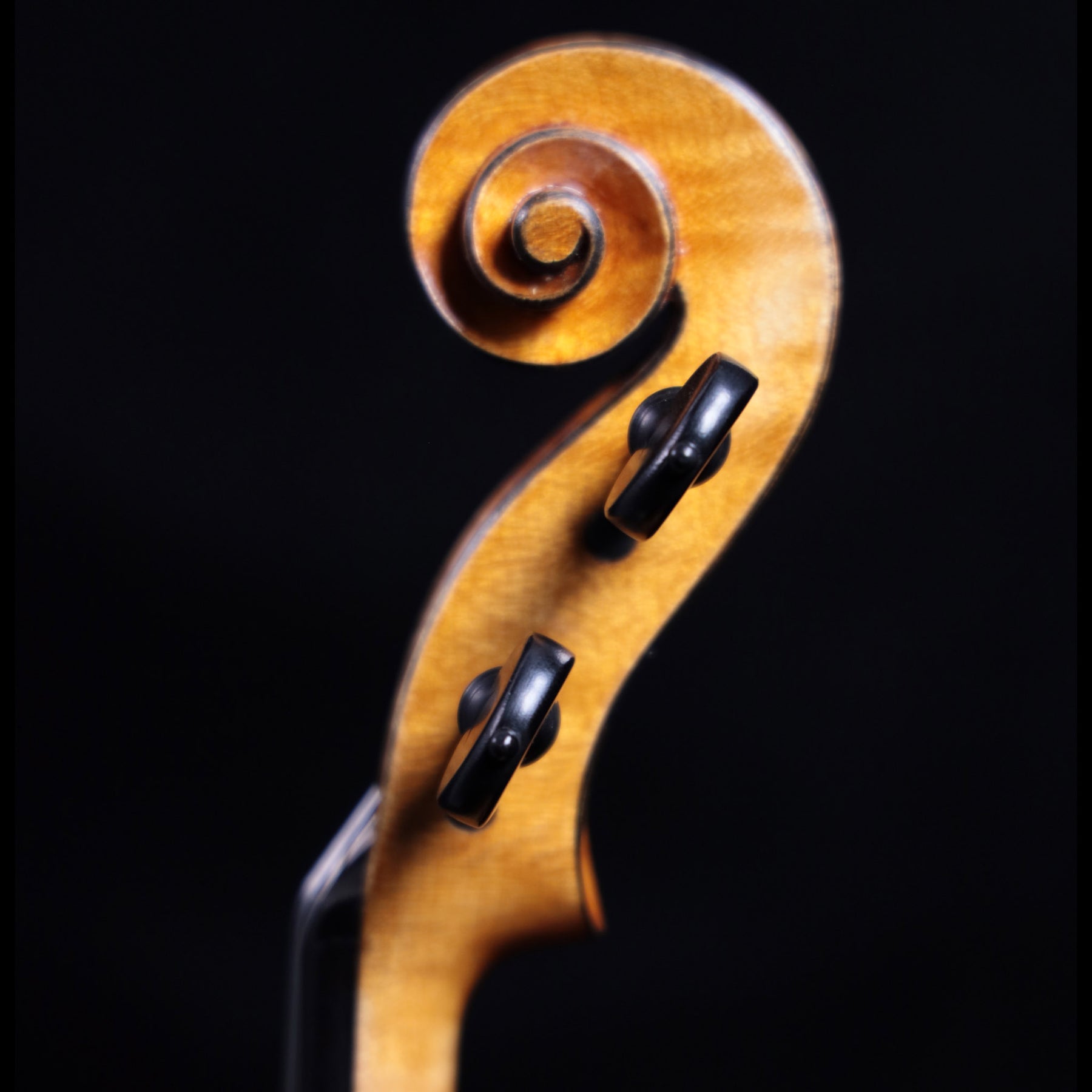 Francesco Pierotti, Cesena Italy, Violin 2020