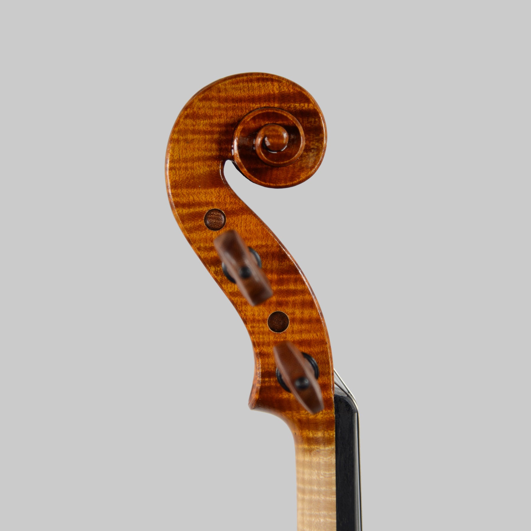 Francesco Pierotti Fine Italian Violin 2020