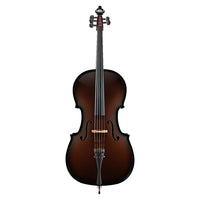 Glasser Carbon Composite 5-String Cello Outfit