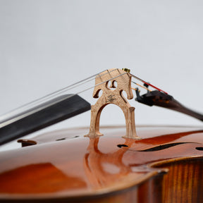 Holstein Bench Guarneri Cello
