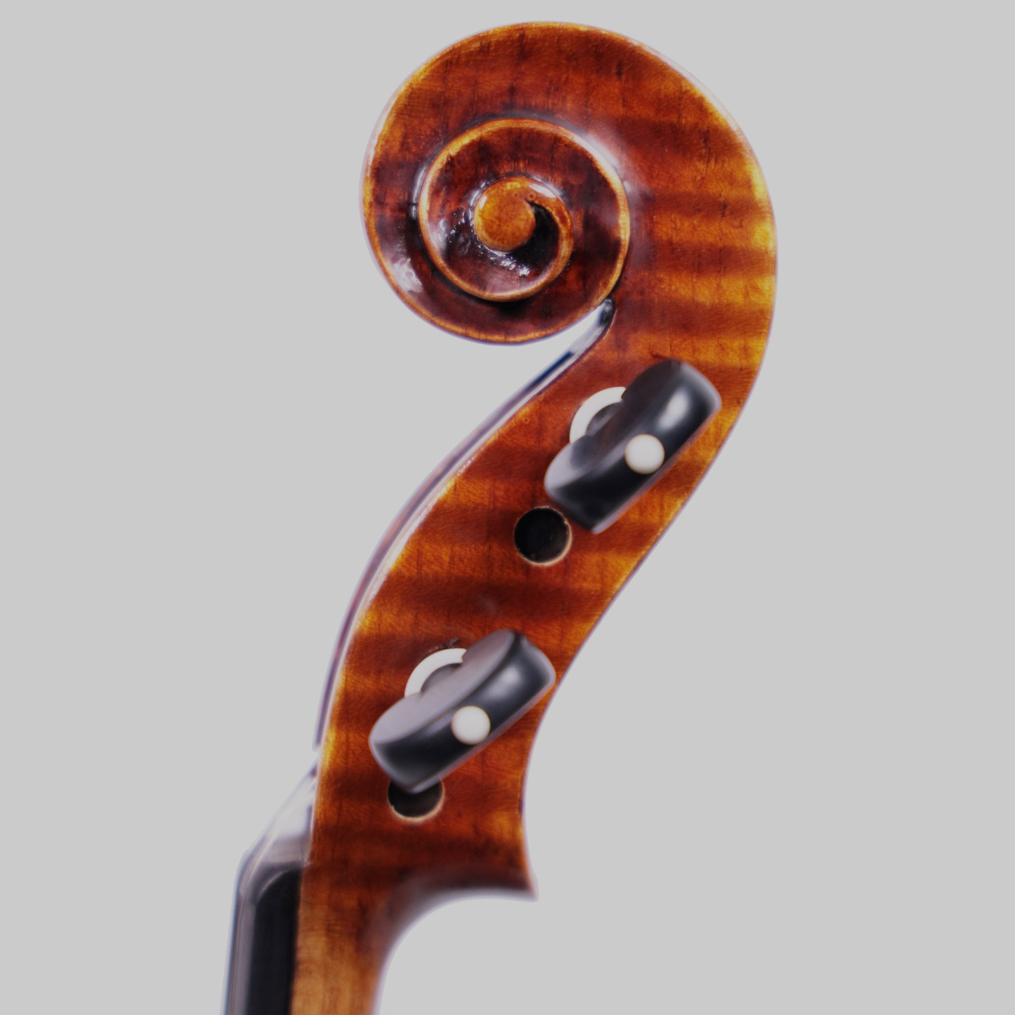Holstein Traditional Lord Wilton Violin