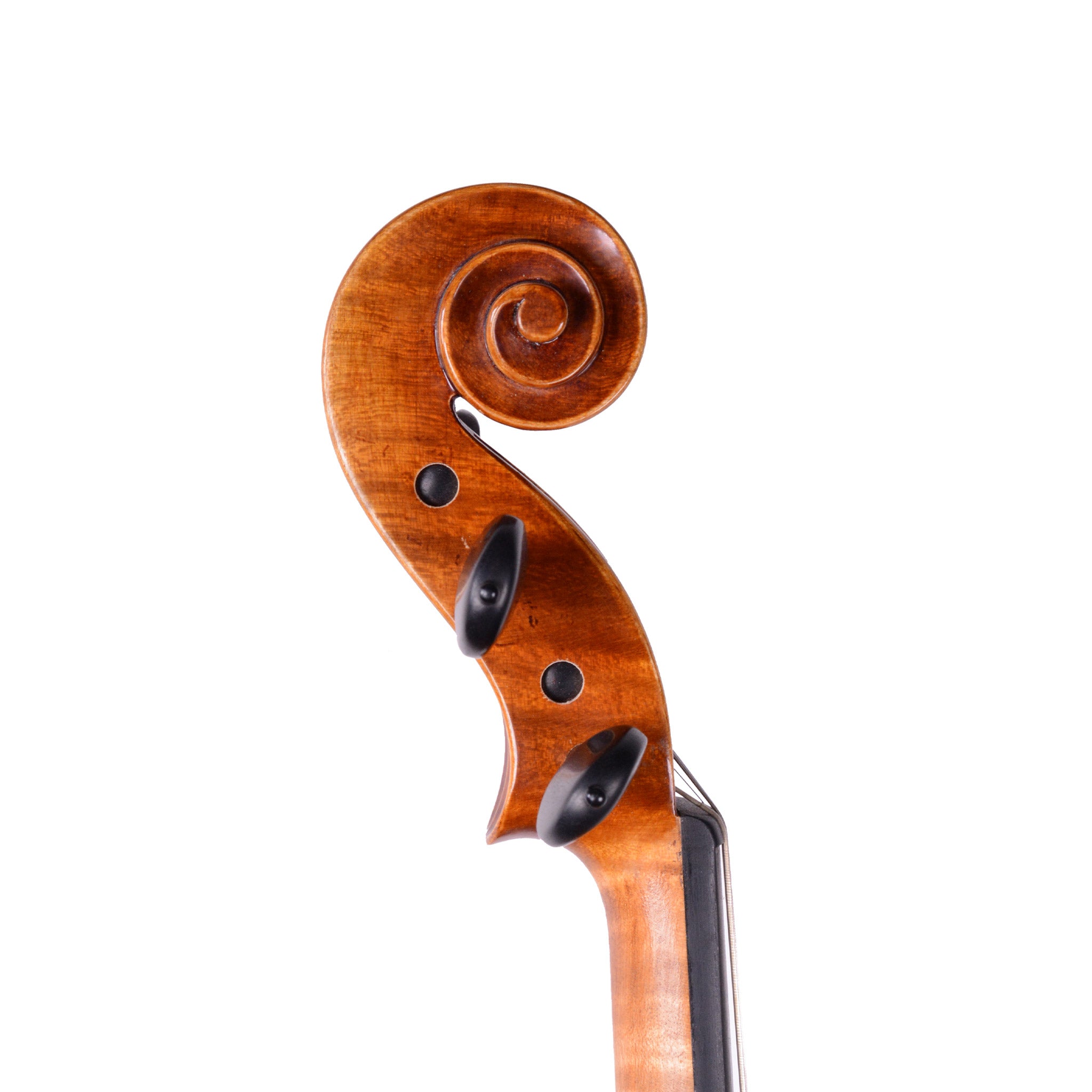 Holstein Traditional Cannone Violin