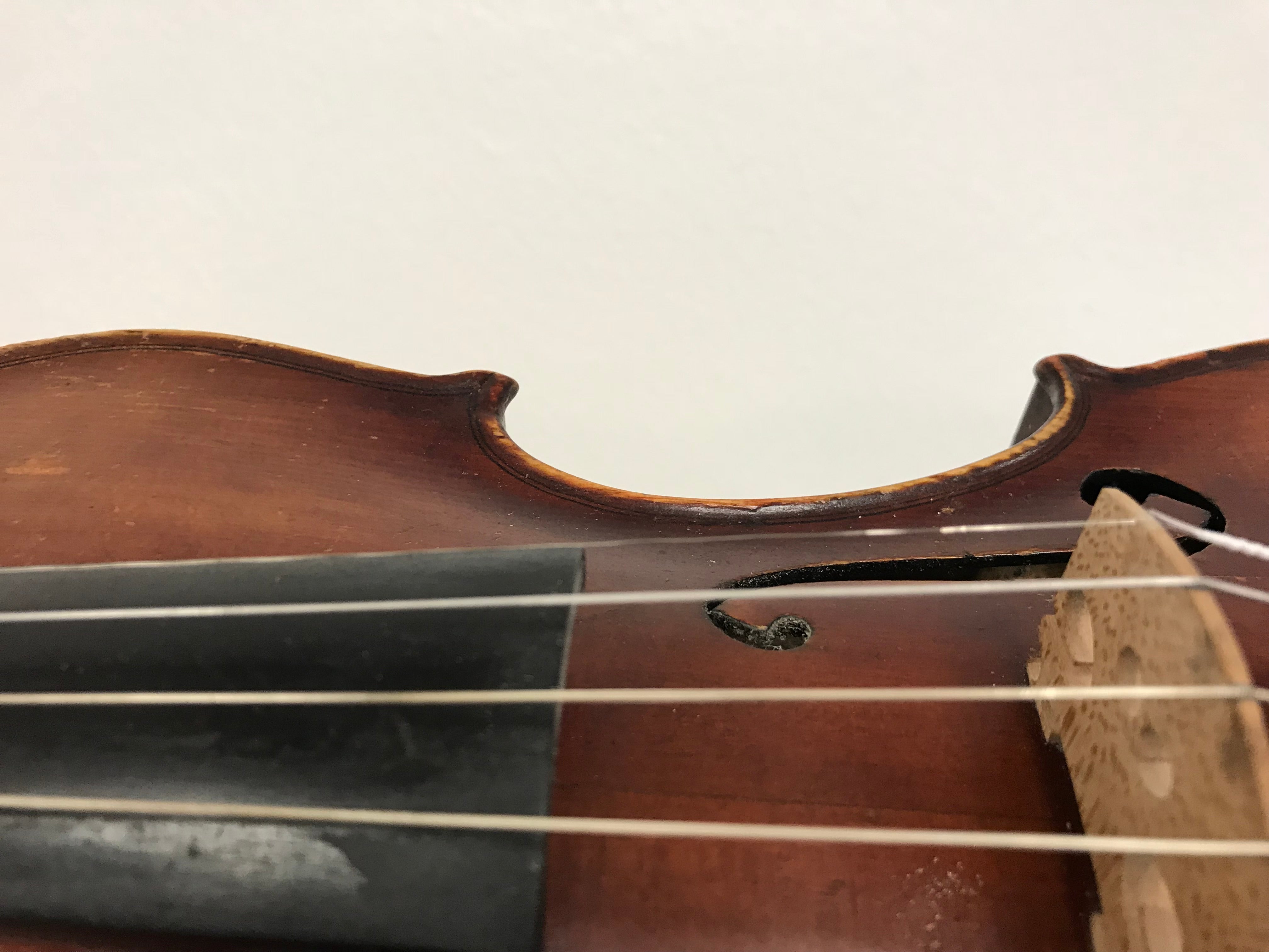 Warchal Amber Violin E String