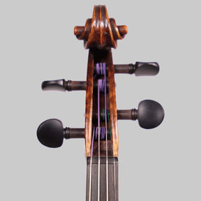 Matthias Placht, Antique German Violin