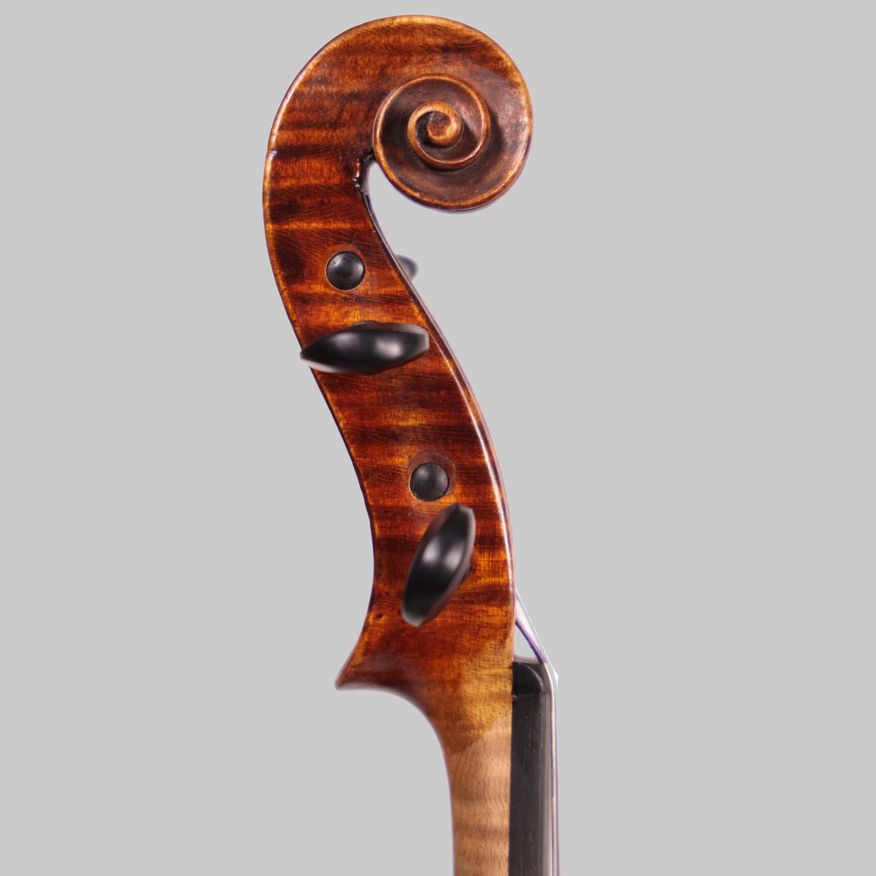 Matthias Placht, Antique German Violin