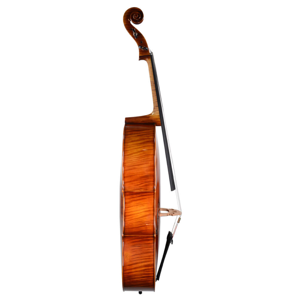 Ming Jiang Zhu 907 Cello