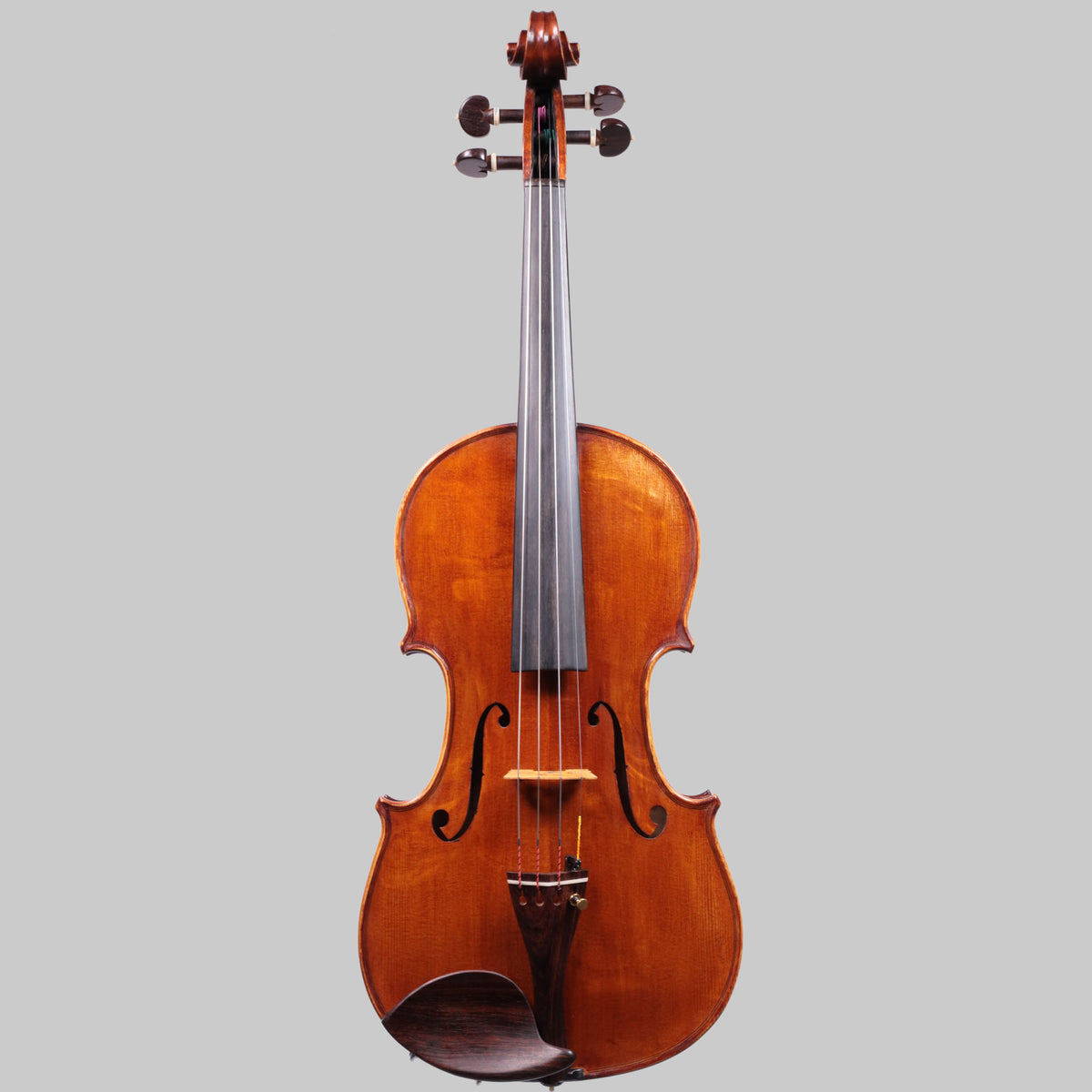 最新のデザイン OzonViolin- 弦楽器