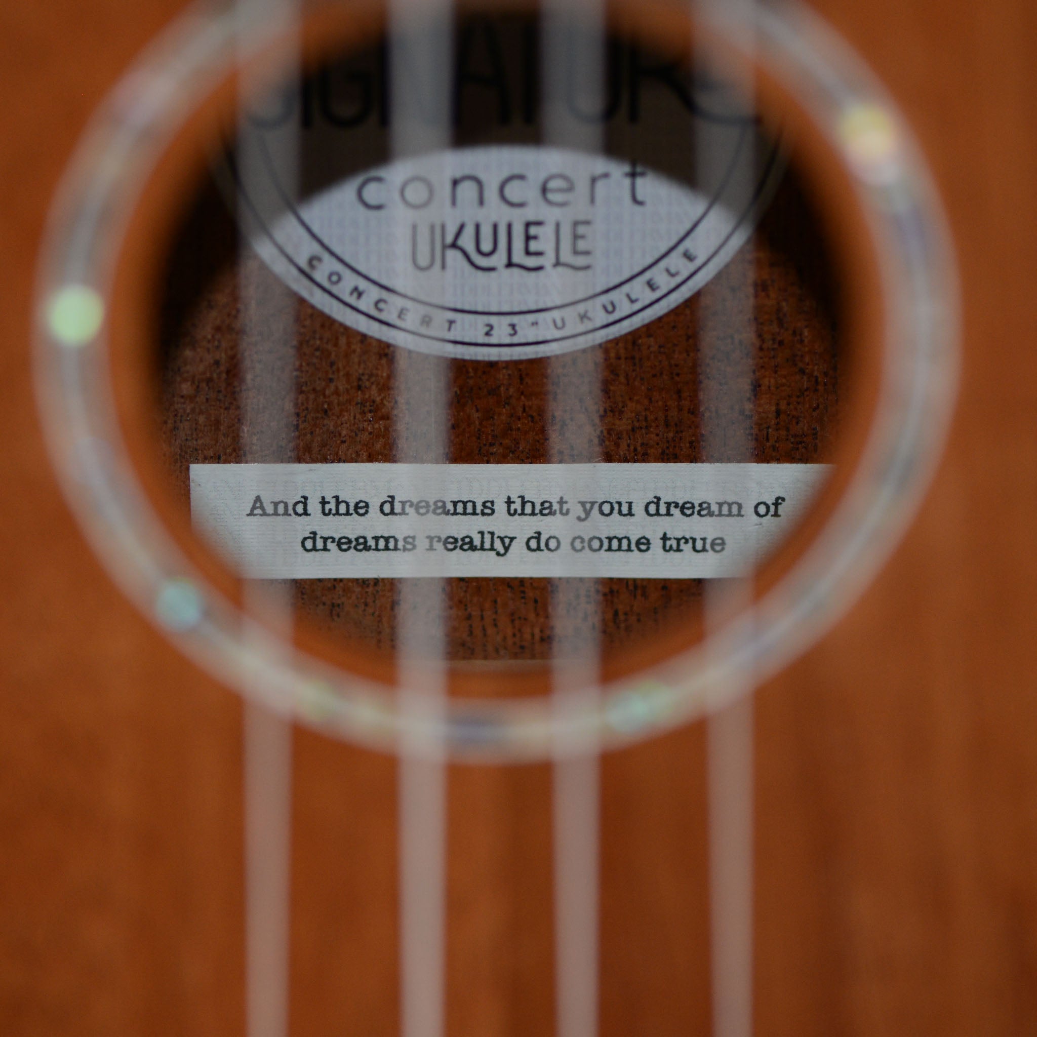 Personalized label inside the ukulele