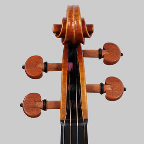 Francesco Pierotti, Cesena Italy, Violin 2020