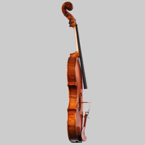 Francesco Pierotti, Cesena Italy, Violin 2020