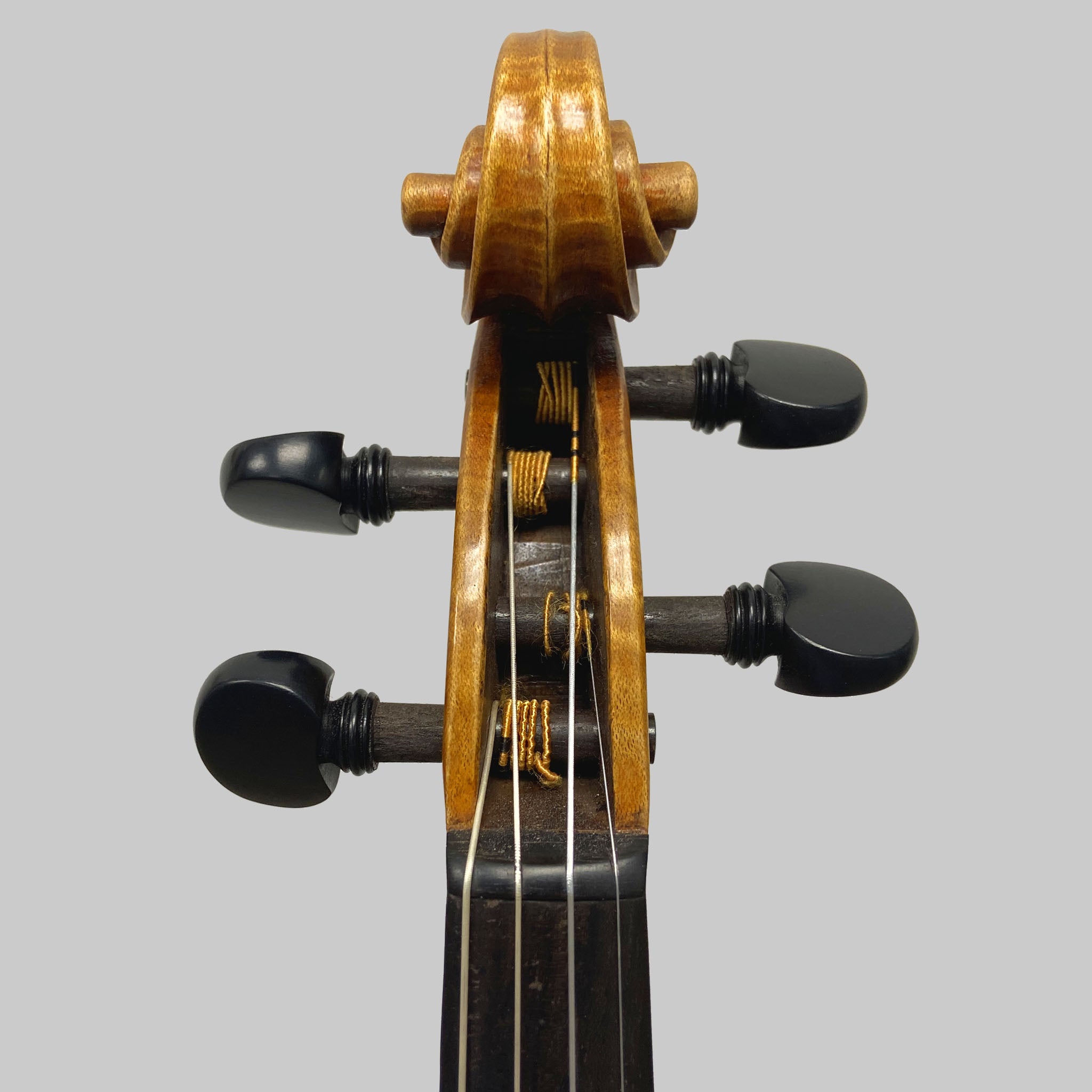 Francesco Pierotti, Cesena Italy, Guarneri 'Canary Bird' Violin 2022