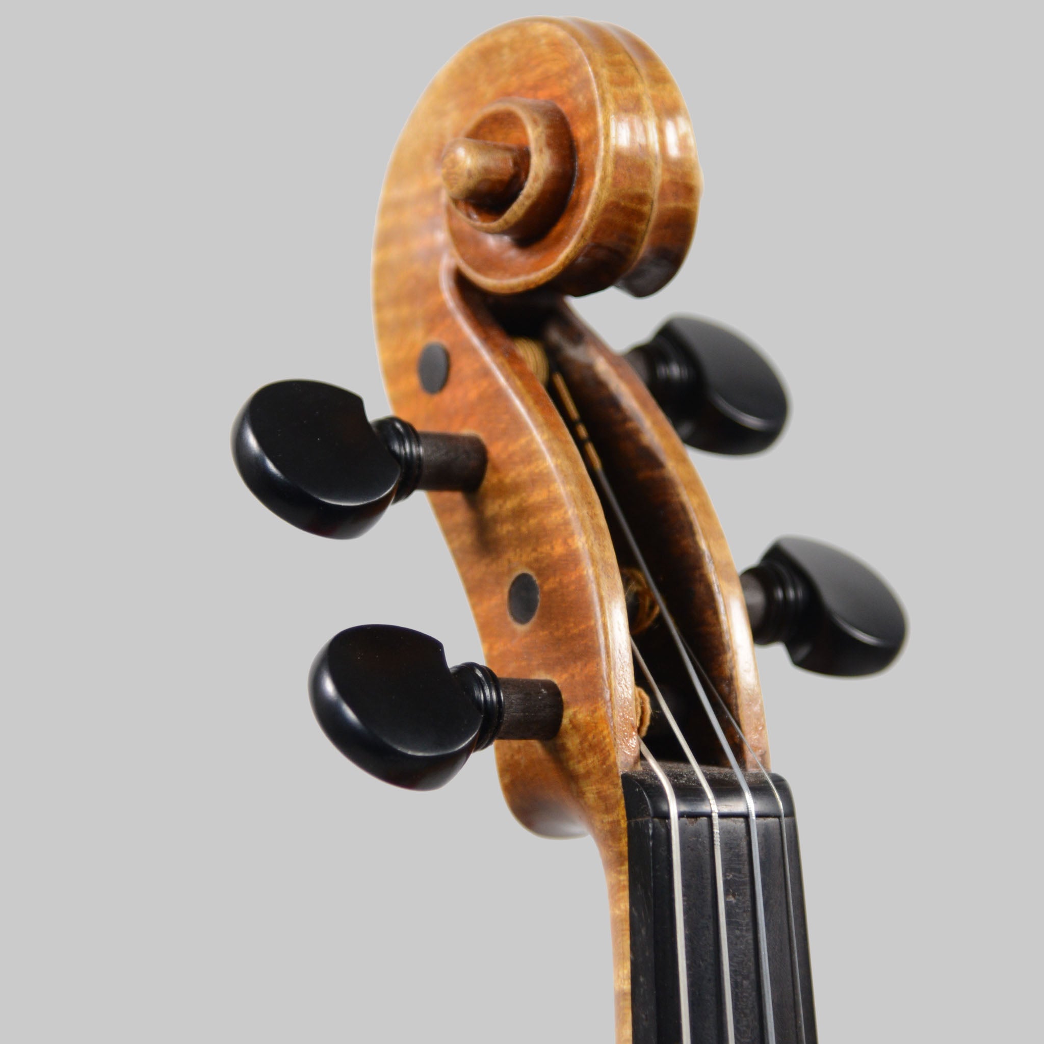 Francesco Pierotti, Cesena Italy, Guarneri 'Canary Bird' Violin 2022