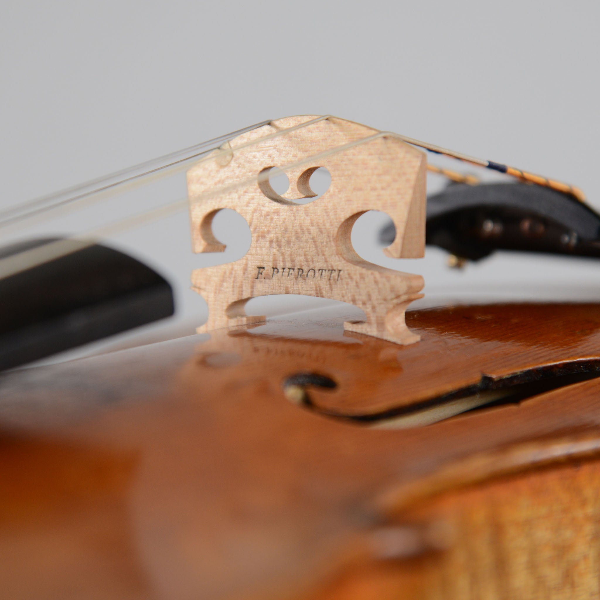 Francesco Pierotti, Cesena Italy, Guarneri 'Canary Bird' Violin 2022