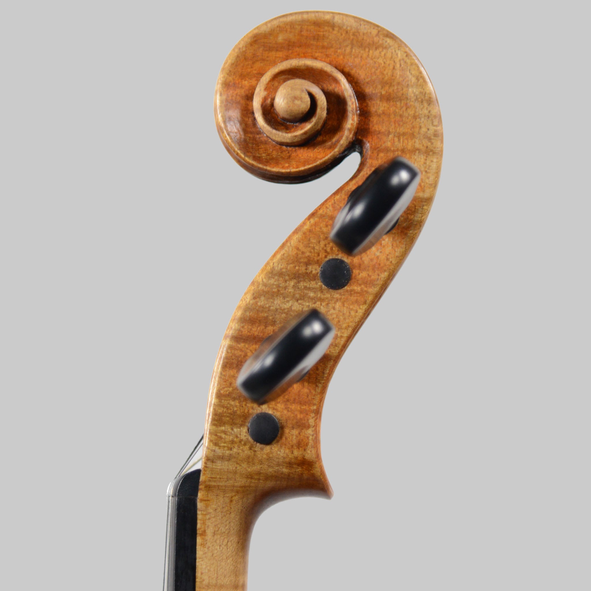 Francesco Pierotti, Cesena Italy, Guarneri 'Canary Bird' Violin 2022