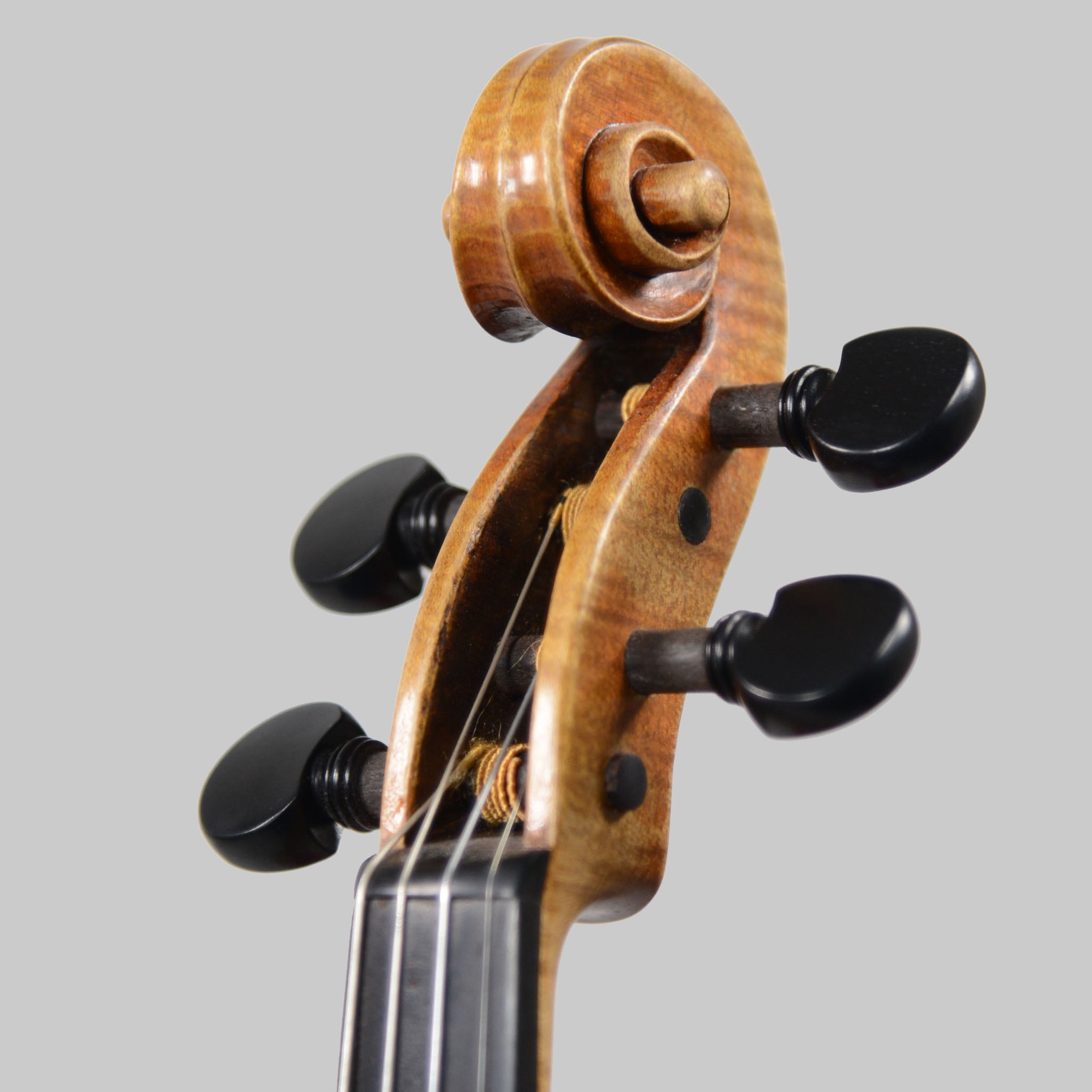 Francesco Pierotti, Cesena Italy, Guarneri 'Canary Bird' Violin 2022