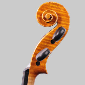 Francesco Pierotti, Cesena Italy, Violin 2021