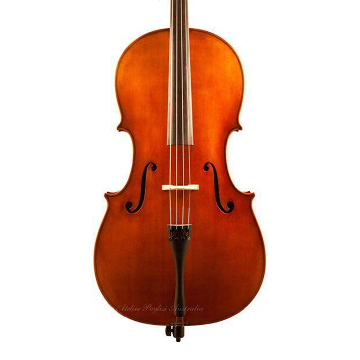 Scott Cao 017E Cello