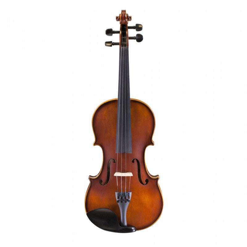 Professional violin deals price