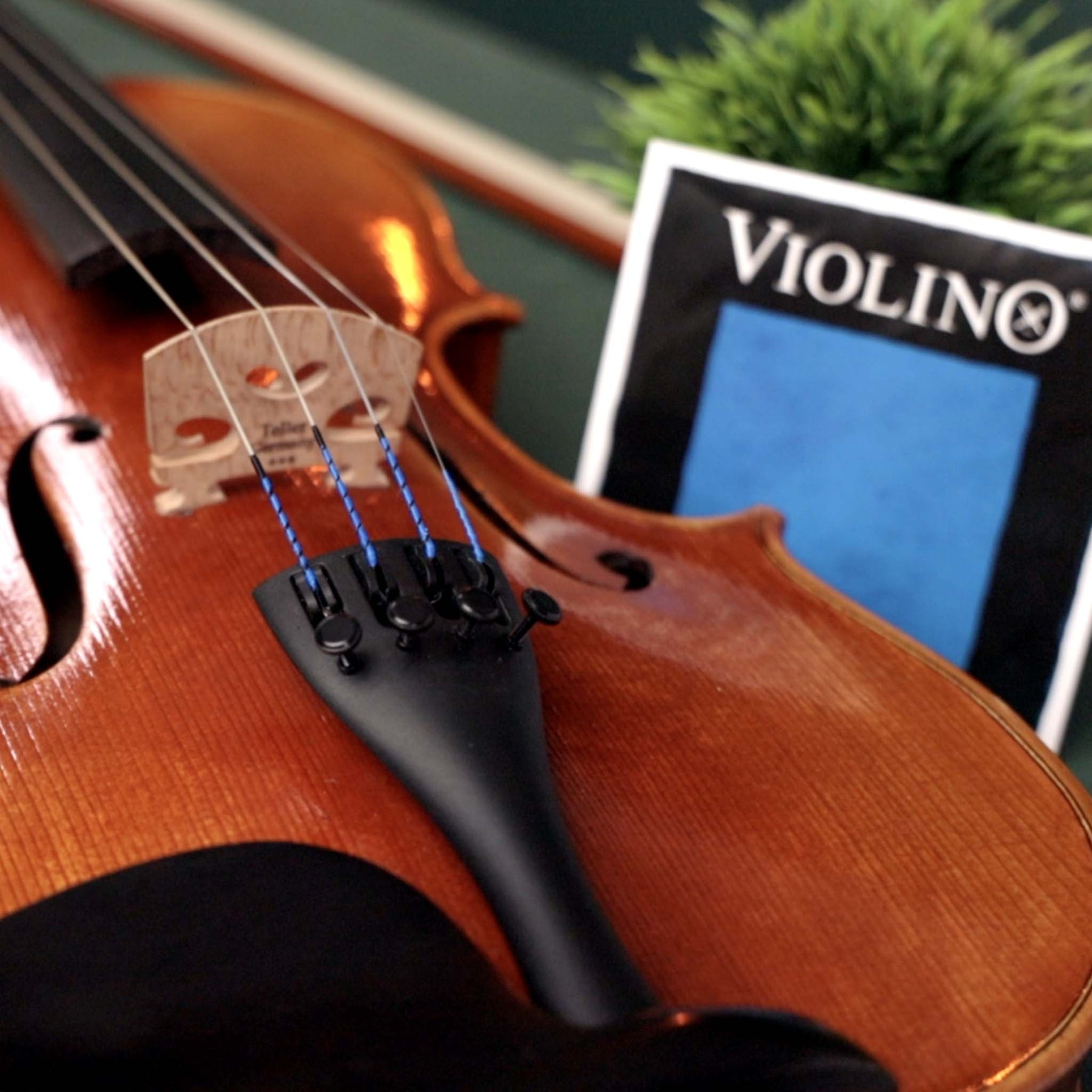 Mængde penge Allieret Tage med Pirastro Violino Violin String Set