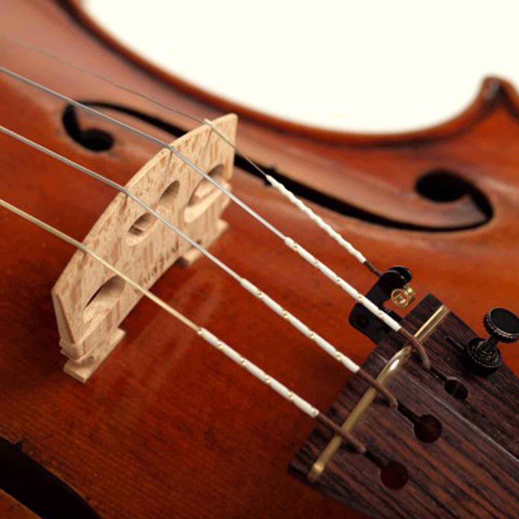 Suri ærme Fellow Warchal Amber Violin String Set