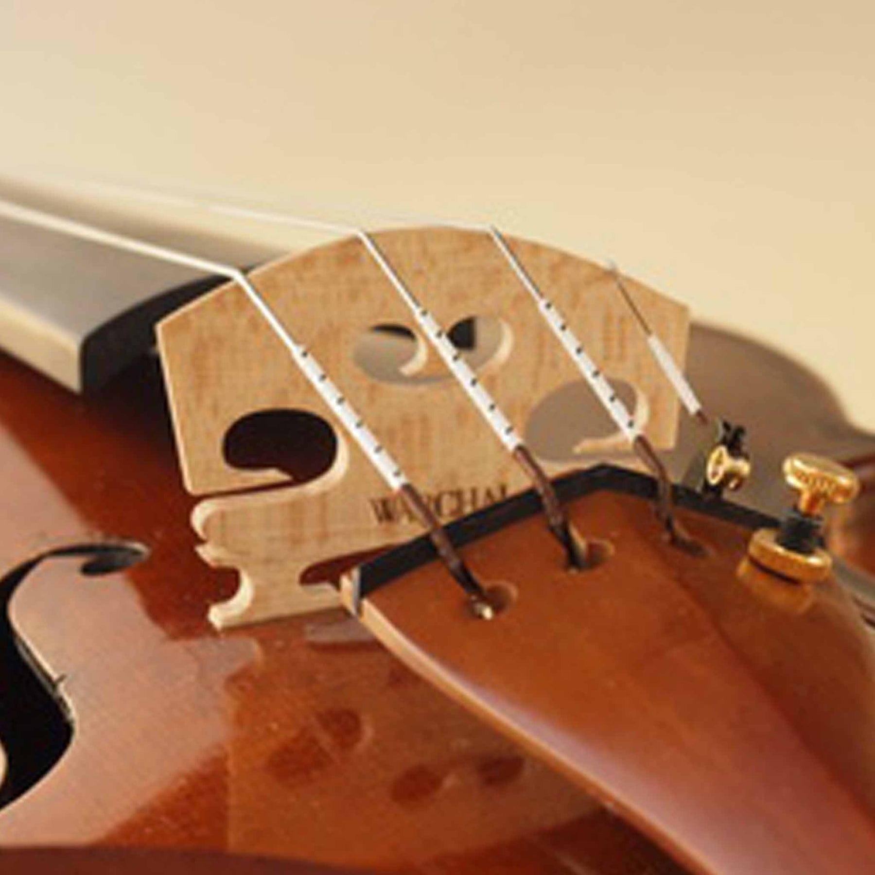 Warchal Amber Violin String Set