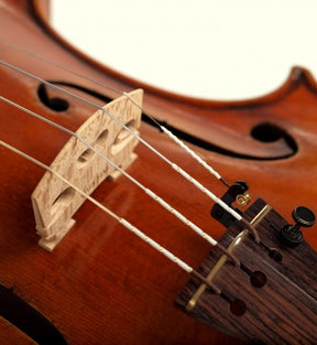 Warchal Amber Violin G String