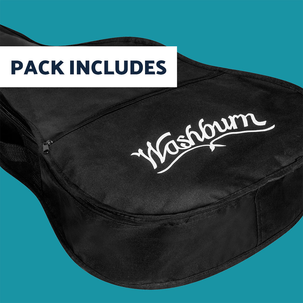 Washburn store guitar case