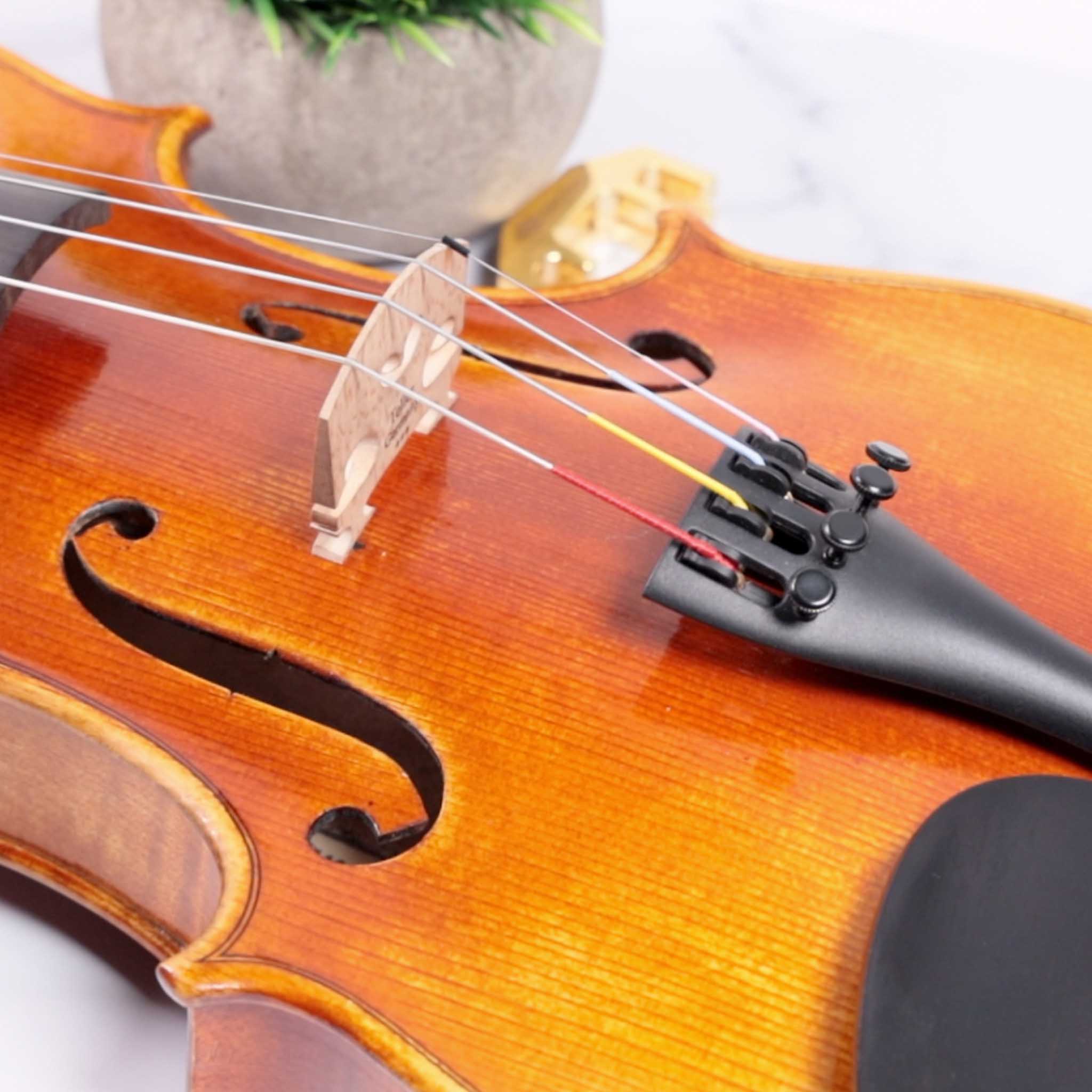 Zemar Synthetic Core Violin String Set