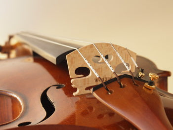 Warchal Amber Violin D String